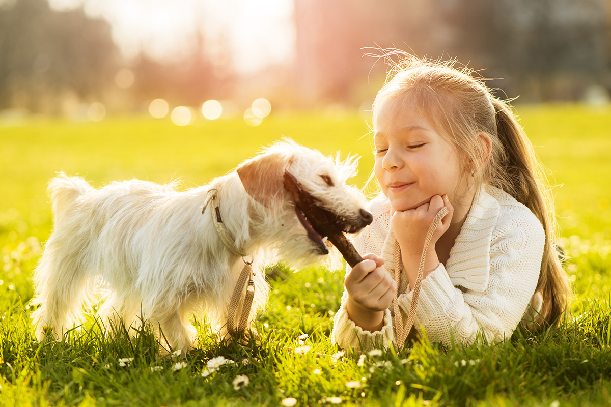 Safe pest control for families with pets