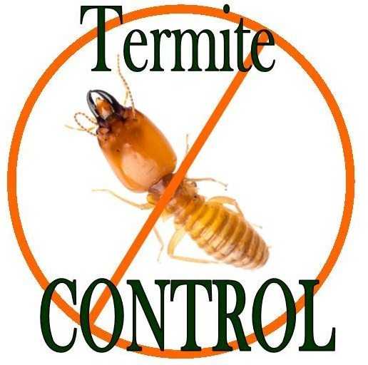 Termite Control Sydney - Max Force Pest Control Sydney