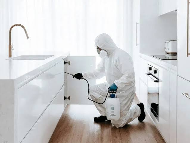 Home Safety Tips to Prevent Pest Infestations in Australian Homes