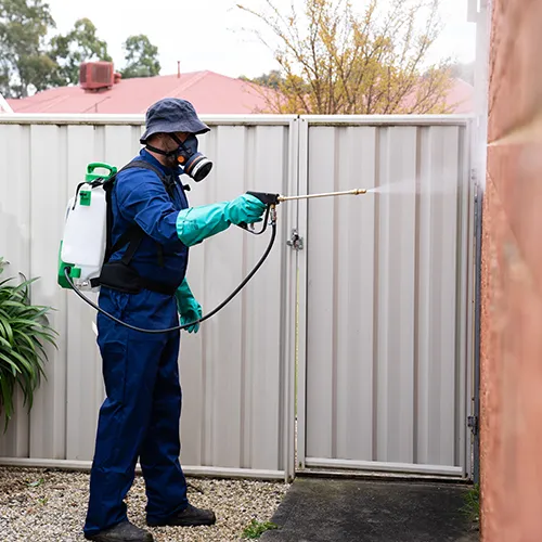 How Often Should You Get Pest Control in Australia?